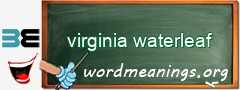 WordMeaning blackboard for virginia waterleaf